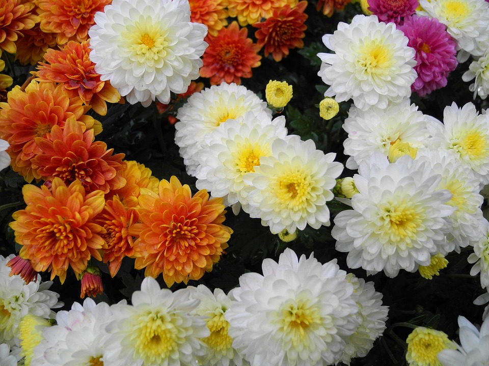 Eco How-To: Weaving Wind into Walls