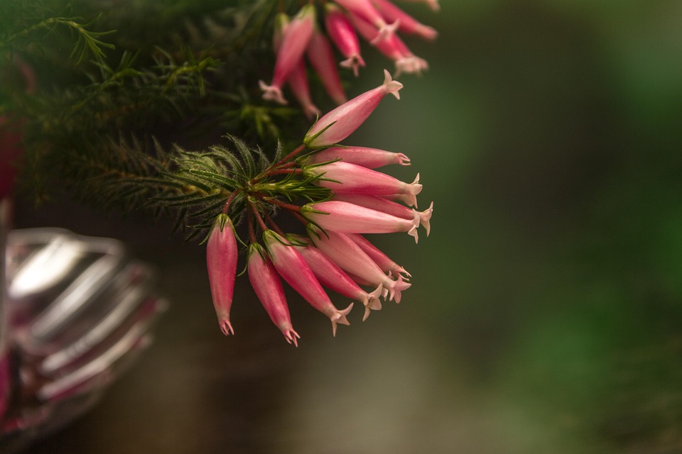 Eco How-To: Green Thread in Stone #VerticalLives
