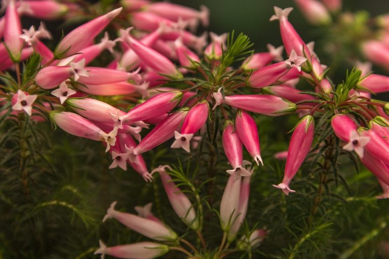 Symbolic Essay: The Sun-Soil Dance in Hidden Spaces