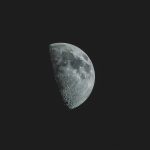 Symbolic Essay: Petals in the Plaster