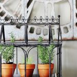 Thistlekeeping – Thistlewood Farm