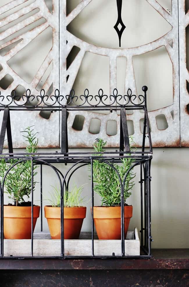 Thistlekeeping – Thistlewood Farm