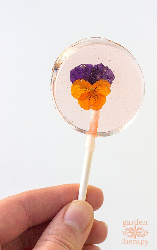 A Sweet Garden Party Treat: Edible Flower Lollipops