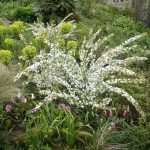 Garden Visit: 9 Ideas to Steal from the Bravura Planting at Gravetye Manor in Sussex Garden Visit: 9 Ideas to Steal from the Bravura Planting at Gravetye Manor in Sussex