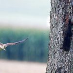 Best Of: Cozy Cabins and the Mountain Muse