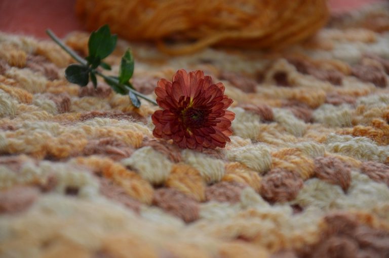 Poetic Guide: Whispers of Willow Weaving Hygge into Home