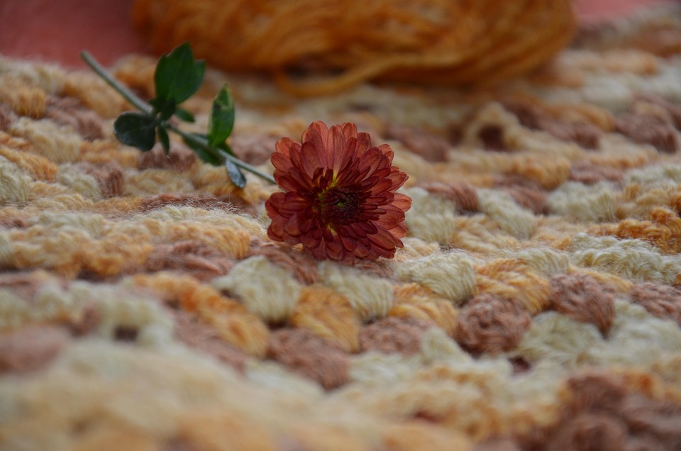 Poetic Guide: Whispers of Willow Weaving Hygge into Home