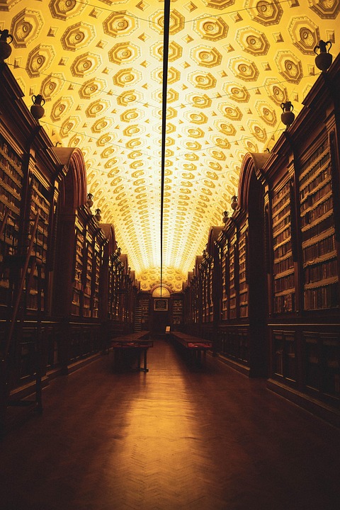 Eco How-To: Braiding Ivy with Weathered Shelves