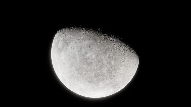 Seasonal Ritual for Sowing Seeds of Inner Calm Seasonal Ritual for Sowing Seeds of Inner Calm