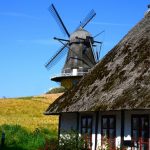 Eco How-To: Sow with Silence: Crafting Bloom from Barren Roots Eco How-To: Sow with Silence: Crafting Bloom from Barren Roots