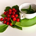 Top 5 Ideas to Cultivate a Sanctuary of Soil Wisdom & Slow Morning Light