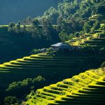 Top 5 Ideas: Terraces That Cradle Water & Wind Top 5 Ideas: Terraces That Cradle Water & Wind