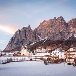 Eco How-To: Wildflowers Sing on Forest Paths Unbound