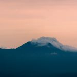 Eco How-To: Moss-Covered Pathways Fostering Greener Burial Grounds