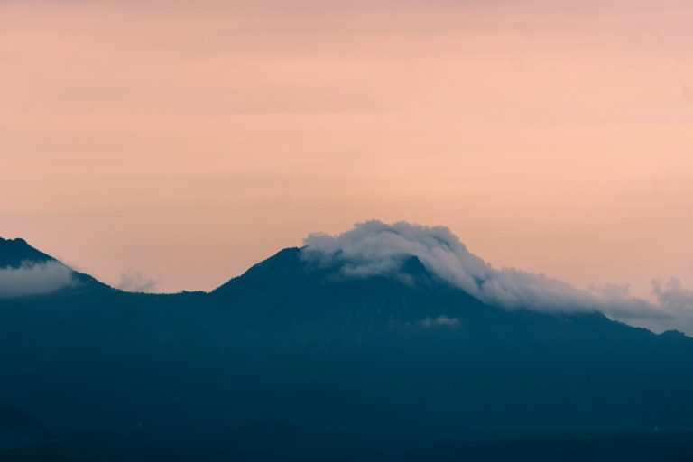 Eco How-To: Moss-Covered Pathways Fostering Greener Burial Grounds