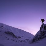 Eco How-To: Cultivating Wildness in Windowsills