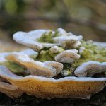 Symbolic Essay The River’s Whisper in Eco-Design Choices