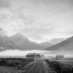 Top 5 Ideas: Hidden Havens Beneath the Pines