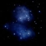 Eco How-To: Rain Channels and Pocket Foxgloves Eco How-To: Rain Channels and Pocket Foxgloves