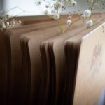 Symbolic Essay: Pinecones cradle whispered estate magma bees