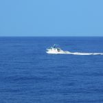 Top 5 Ideas: Wild Corners Cultivate Fire Hidden Top 5 Ideas: Wild Corners Cultivate Fire Hidden