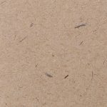 Seasonal Ritual: Autumn’s Frost Forges Hearthside Gold