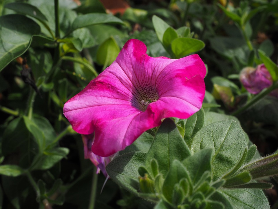 Symbolic Essay: Glassy Fragments Basking in Sun-Kissed Soils