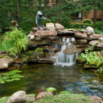 How Backyard Ponds Improve Garden Biodiversity and Relaxation