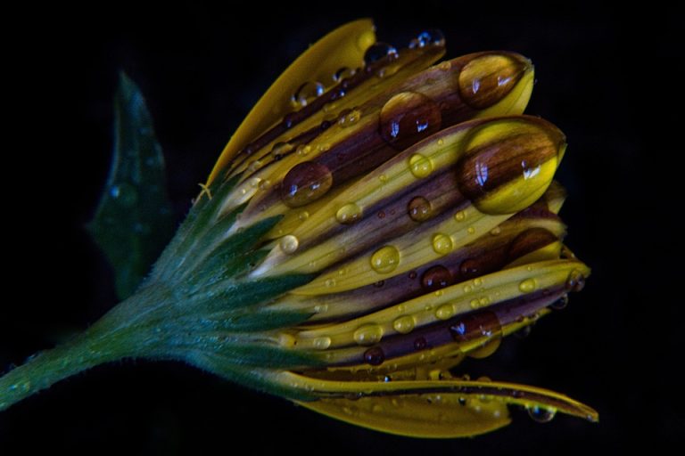 Eco How-To Germinate Light Through Fractured Concrete