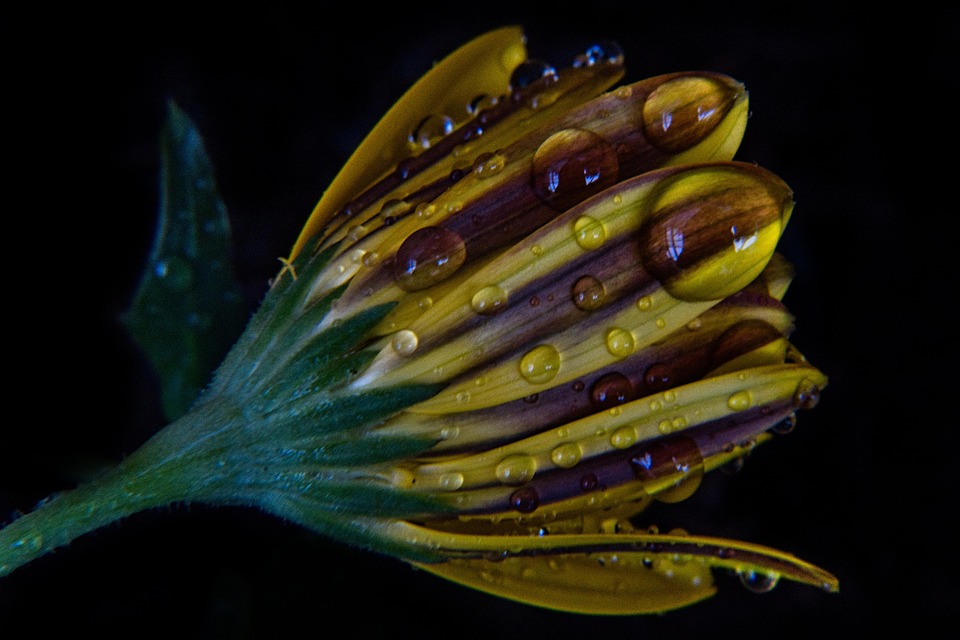 Eco How-To Germinate Light Through Fractured Concrete