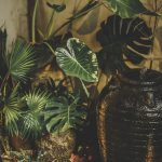 Best Of Dawn’s Quiet Dialogue with Stone