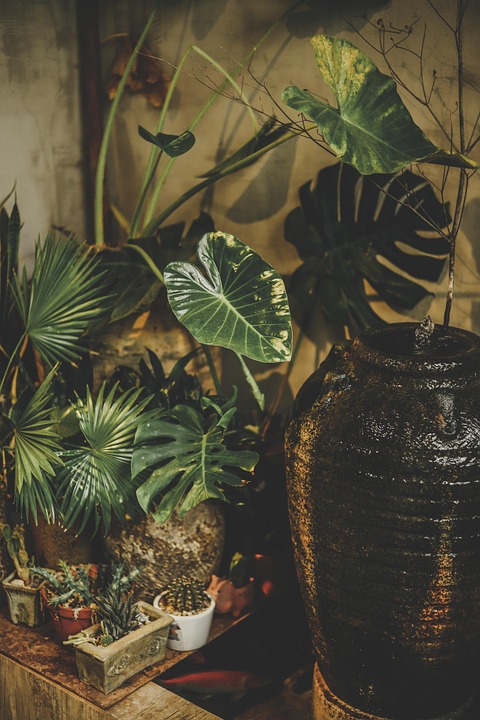 Best Of Dawn’s Quiet Dialogue with Stone