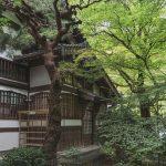 Seasonal Ritual: Earth’s Song Through Frosted Soil