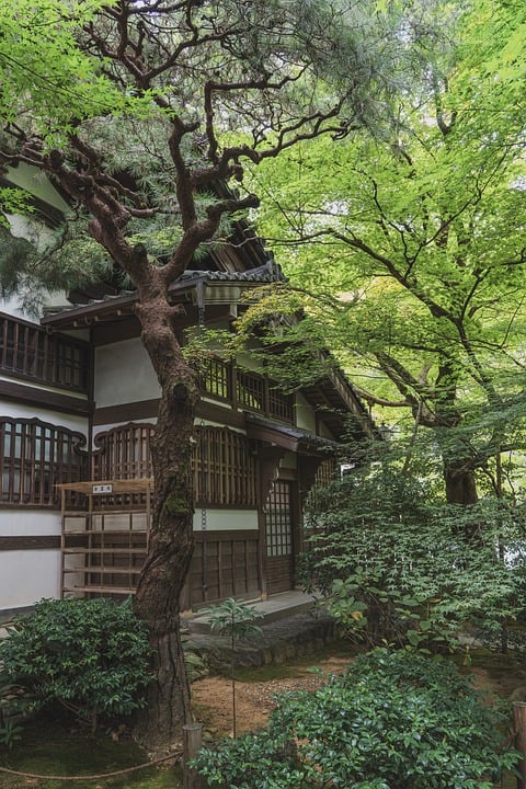 Seasonal Ritual: Earth’s Song Through Frosted Soil
