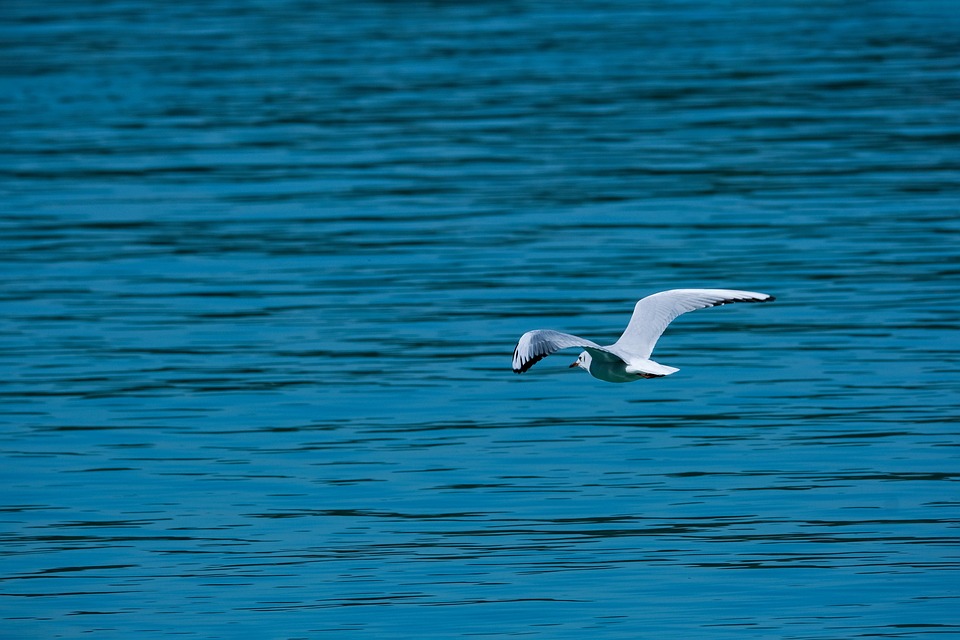 Symbolic Essay: Where Stone Meets Soul