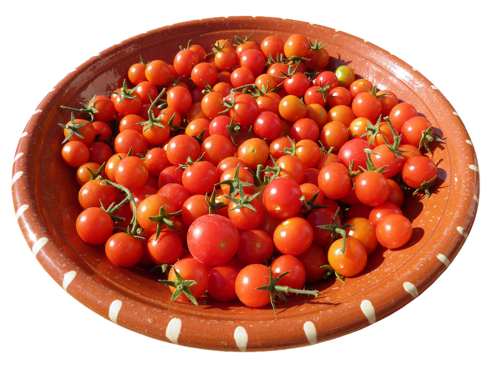 Poetic Guide to Morning Light Threads & Moss Whispered Beds