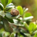 Seasonal Ritual: Hygge’s Hearth, Cultivating Cozy Corners