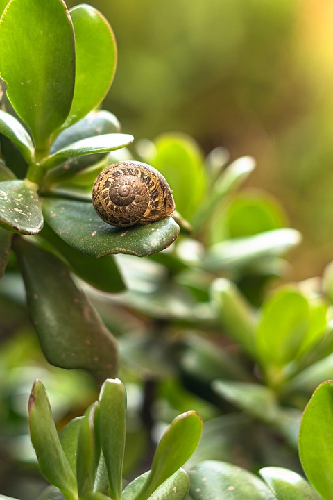 Seasonal Ritual: Hygge’s Hearth, Cultivating Cozy Corners