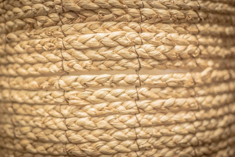 Seasonal Ritual Autumn’s Veil Over Cobblestone Paths