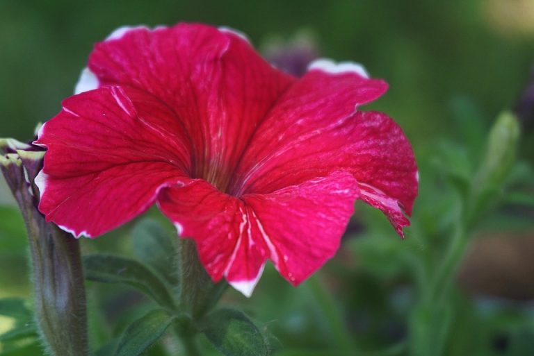 Eco How-To: Scrap Wood Becomes Vertical Eden Eco How-To: Scrap Wood Becomes Vertical Eden