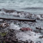 Symbolic Essay: The Dance of Light and Loam