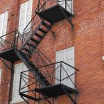 Seasonal Ritual: Frost-Kissed Petals in Winter’s Grasp Seasonal Ritual: Frost-Kissed Petals in Winter’s Grasp