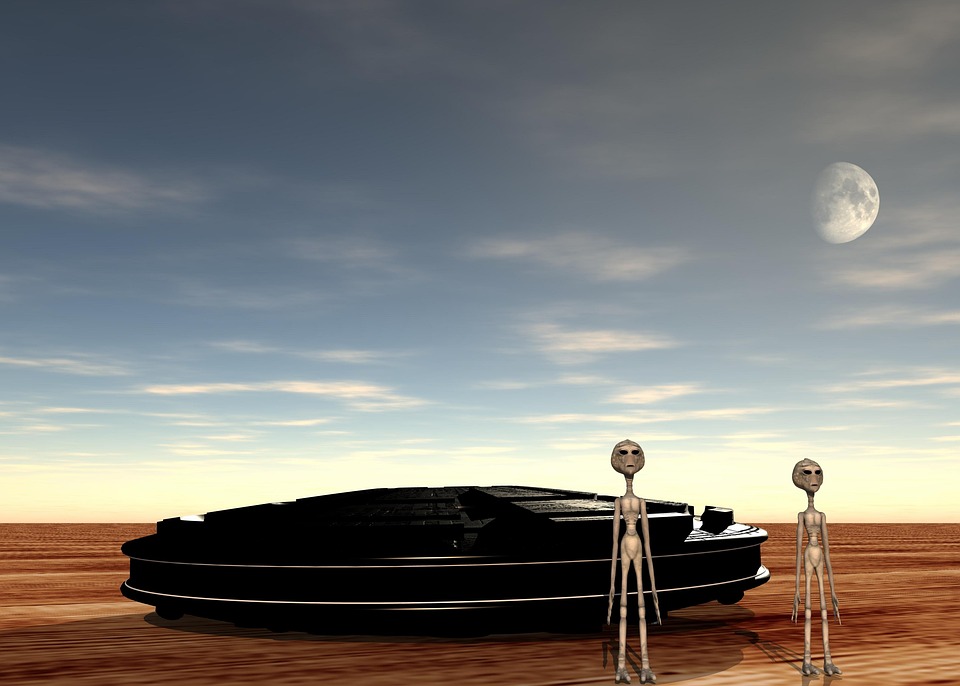 Best Of Quiet Mornings: Unfolding Petals of Stillness