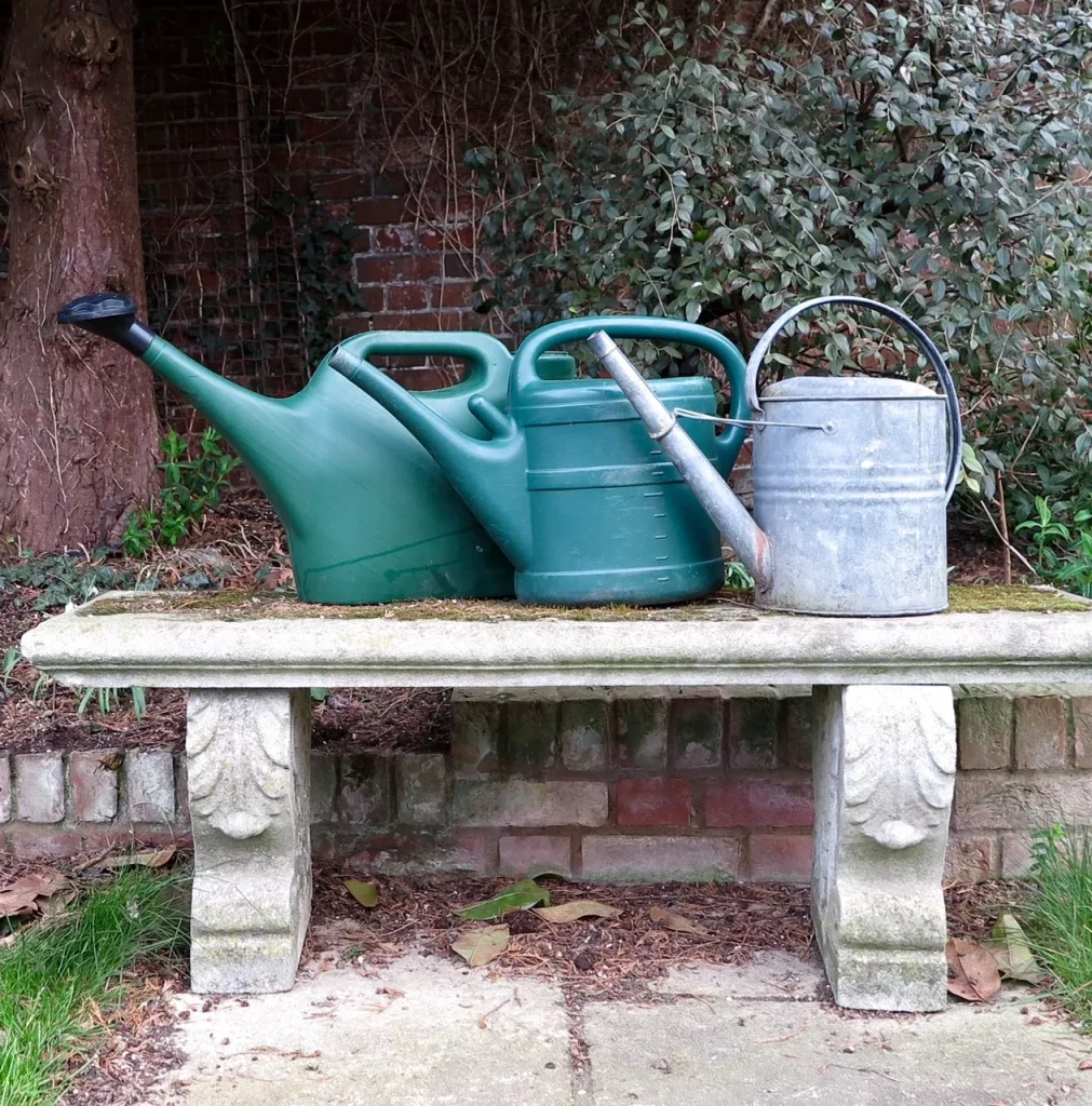 Daffodil growing myths – what experts say really works – The Middle-Sized Garden