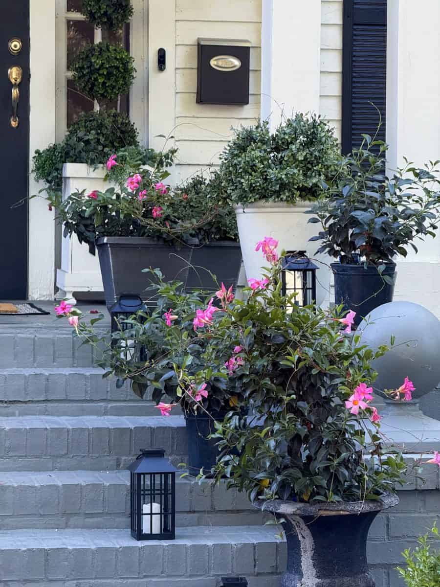 a set of gray-painted steps leading to a house door, decorated with potted green plants and pink flowers—an inviting example of how to decorate a porch for summer. black lanterns with candles sit on the steps, and a mailbox is mounted by the door.