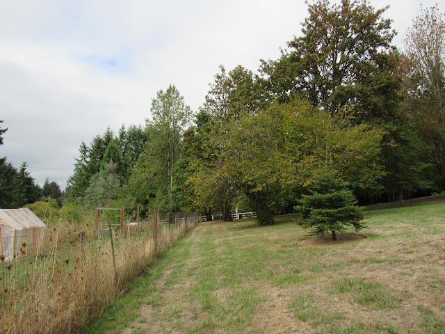 evolution of a garden border