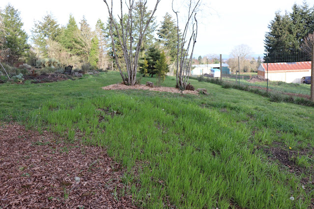 evolution of a garden border