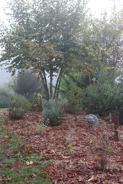 evolution of a garden border