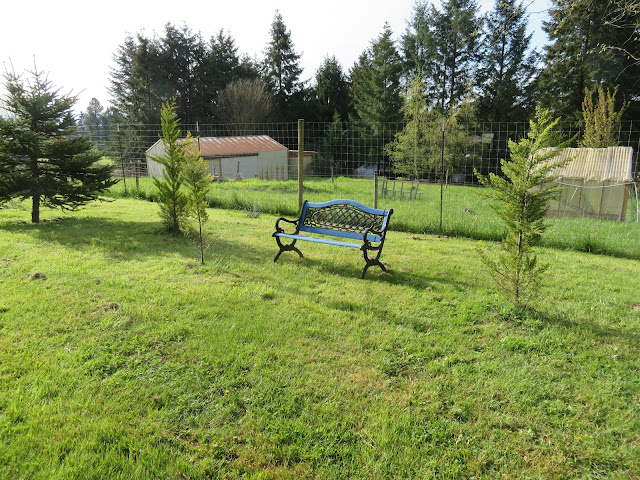 evolution of a garden border