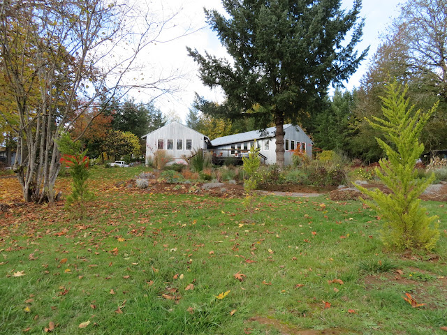 evolution of a garden border